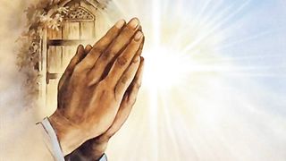 У дикого гуся могучие крылья