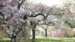 Велик наш Творец 2