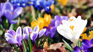 Велик наш Творец 2