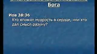 Алексей Коломийцев - Условие обретения силы