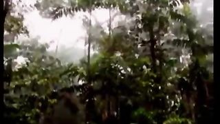 Алексей Коломийцев  - Семейное собрание