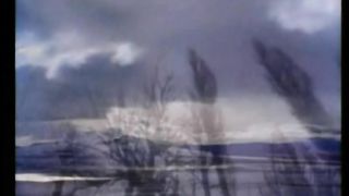 СПАСИТЕЛЬ МОЙ