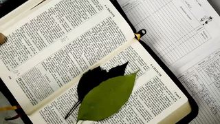 Пыль на Библии - ржавчина на сердце