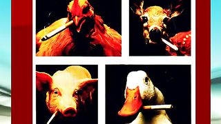 Курение - Слайд-шоу для курящих