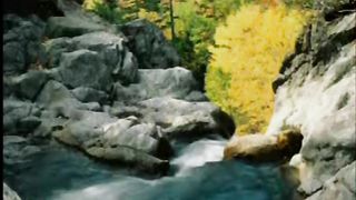 Единственный друг