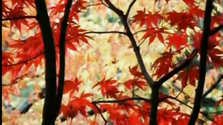 Единственный друг