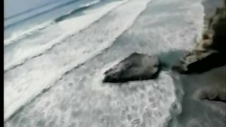 Единственный друг