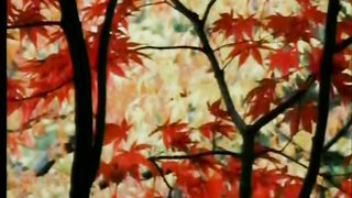 В последний раз