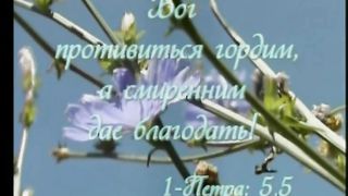 В последний раз