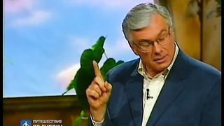 Брюс Уилкинсон - Семь ступеней духовного роста 9