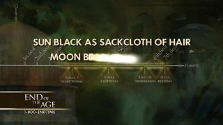 Ирвин Бакстер - Начертание зверя 6