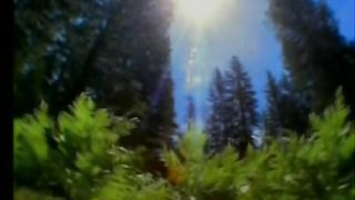 ЖИТТЯ ТІЛЬКИ З БОГОМ