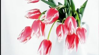 ЖИТТЯ ТІЛЬКИ З БОГОМ