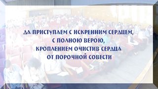 Владимир Шушкевич - ... и немало умирает