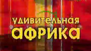Василий Тищенко - Миссионерская поездка в Африку