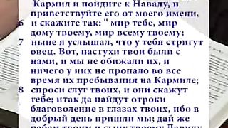 Виталий Вознюк - Мудрая жена 1