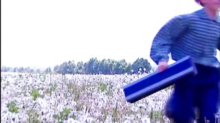 Відчуй силу змін - Синій птах Ігоря Рудого