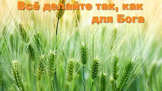 Сергей Винковский - Все делай как для Бога