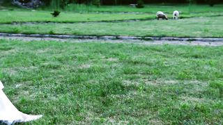 Добрая совесть