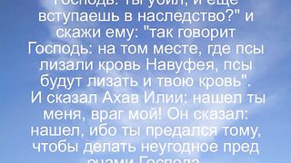 Василий Евчик - В какой ты колеснице 1