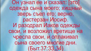 Василий Евчик - Всякая неправда есть грех 2