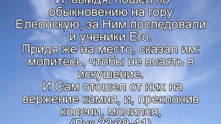 Василий Евчик - Да будет воля Твоя 1