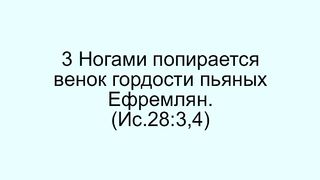 Василий Евчик - Не упивайтесь вином 2