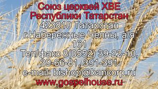 Василий Евчик - Какая твоя печаль