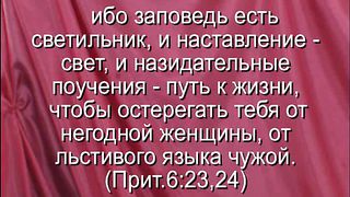 Василий Евчик - Какой твой язык