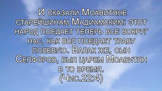 Василий Евчик - Что видишь ты 1