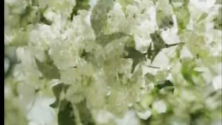 К ТЕБЕ МОЕ СТРЕМЛЕНЬЕ