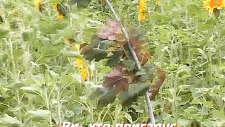 Конференція ЦХВЕ (26-28 березня 2008) 10