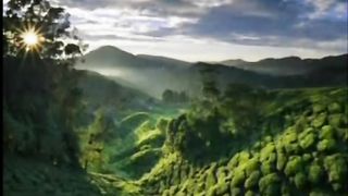 Ax, Земля, чужая сторона