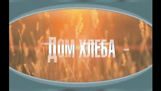 Александр Шевченко - Что такое видение