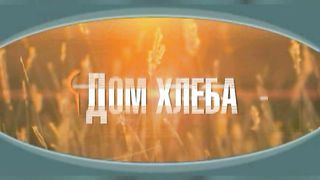 Александр Шевченко - Правила взаимного принятия