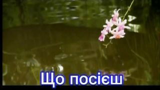 Що посієш ти, милий друже