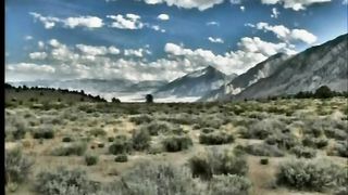 Що посієш ти, милий друже