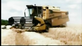 Що посієш ти, милий друже