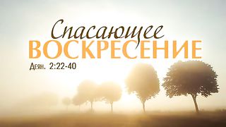 Алексей Коломийцев - Спасающее воскресение