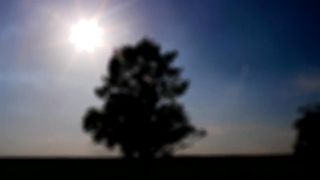 Валентина Шушкевич - Жертва Хвалы