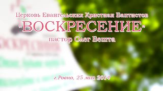 Владимир Шушкевич - Огонь при власти