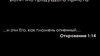 Алексей Прокопенко - Величие грядущего Христа
