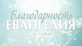 Алексей Коломийцев - Благодарность Евангелия
