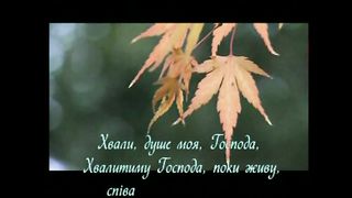 Терниста дорога