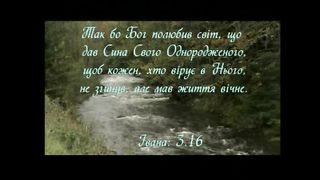 Терниста дорога