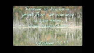 Терниста дорога