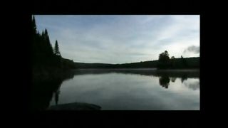 Терниста дорога