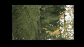 Не раз, не два мой бедный челн