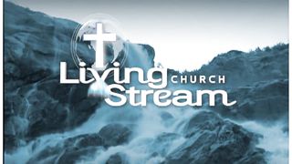 Владимир Бричка - Наше сердце