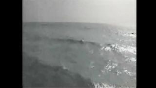 Многие утратили дорогу